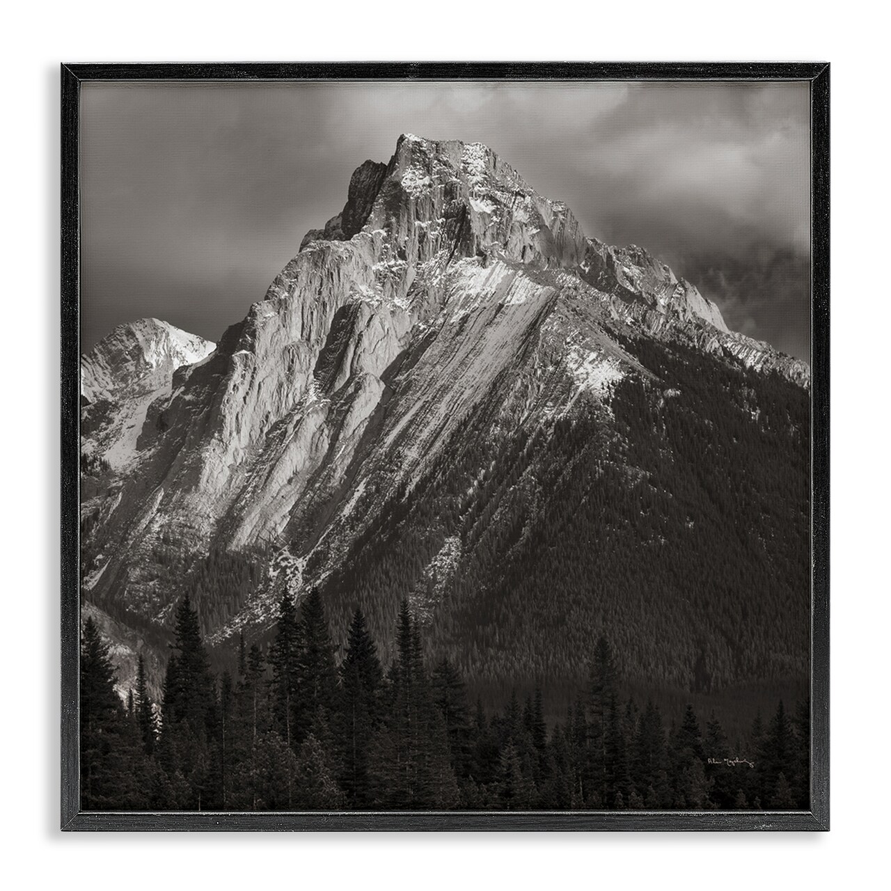 Stupell Industries Canadian Rockies View Framed Giclee Wall Art Design by Alan Majchrowicz
